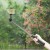 Selfie Stick Hoco K18 Fourpod z bezprzewodowym pilotem Bluetooth – czarny