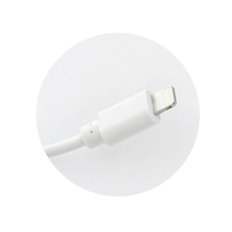 Ładowarka sieciowa Blue Star 5W USB-A Kabel Lightning TFK-TC-1100B Biała