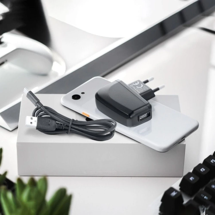 Ładowarka sieciowa Blue Star Lite 10W USB-A Kabel USB-C Czarna